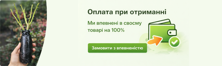 Banner from design