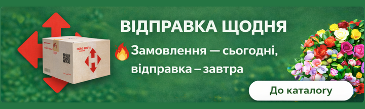 Banner from design